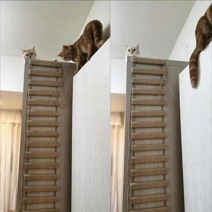 Cat Climbing Bridge & Rope Ladder – Wall-Mounted Scratching & Play Ramp for Indoor Cats